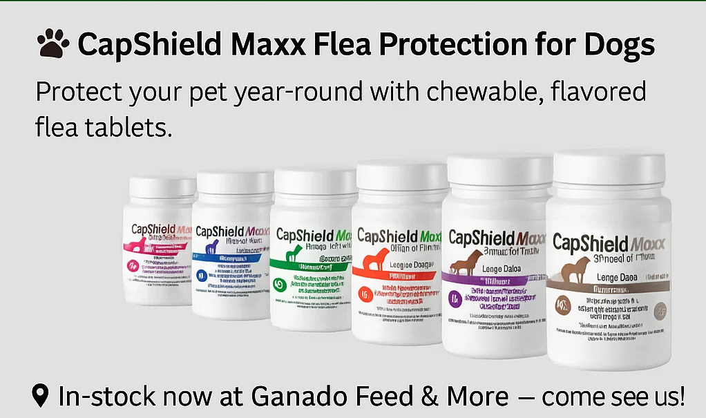 Capshield Maxx Flea Protection for Dogs & Cats round chewable flavored flea tablets